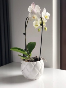 КЕРАМИЧЕСКАЯ КРЫШКА ДЛЯ ЦВЕТОЧНОГО ГАЗВА DIAMOND WHITE GLAMOUR