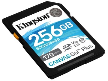 Карта памяти KINGSTON Canvas Go! Плюс SDXC 256 ГБ