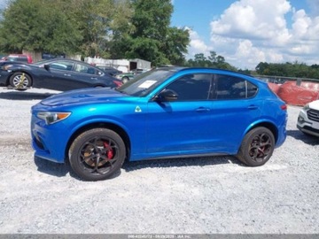 Alfa Romeo Stelvio 2022 Alfa Romeo Stelvio Quadrifoglio 2022 2.9l 2.9 Benzyna 505KM, zdjęcie 2