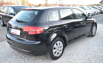 Audi A3 8P Hatchback 3d 1.6 TDI 105KM 2010 Audi A3 Sportback LIFT - climatronic - oplacony - gotowy do rejestracji, zdjęcie 14