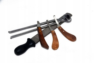 ПРОФЕССИОНАЛЬНЫЙ НАБОР ДЛЯ КОРРЕКЦИИ КОПЫТ С 3 НОЖАМИ