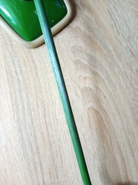 ЗЕРКАЛО VITROCER GNIEZNO '83_DO ZZR ROMET _ WIGRY JUBILATE _ПЕРЕКРАСКА