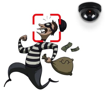 ATRAPA KAMERY PRZEMYSŁOWEJ MONITORING KAMERA KOPUŁKA MIGAJĄCA DIODA LED