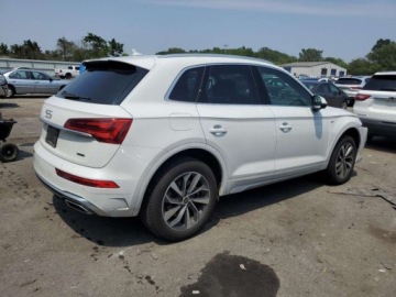 Audi Q5 II 2024 Audi Q5 Premium Plus 2024 2.0L 2.0 Benzyna 261KM, zdjęcie 3