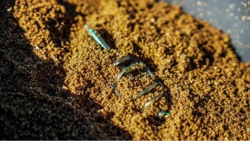 Killer Zanęta Osmo CSuperL CSL Fermentowana Kukurydza 800g