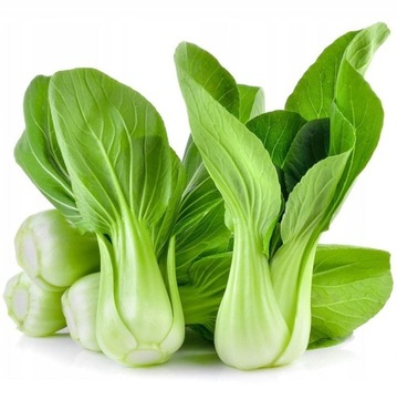 Kapusta chińska Pak Choi 1g Legutko