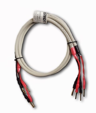 Straight Wire Soundstage 2x3m