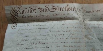 1761 г. Рукопись на пергаменте с печатью в коробке.