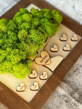 КАРТИНА МОХ БОНСАЙ МОХ ЦЕЛЛИУМ ЖИВАЯ КАРТИНА ДЕРЕВО ЖИЗНИ ПОДАРОЧНАЯ РАМКА