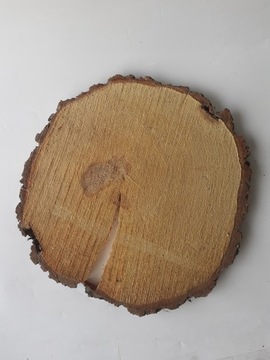 Самые дешевые сухие ломтики, диски из березы 33-36