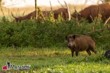 Сеть PASTUCH ELECTRIZER 5J для кабанов + ГОТОВЫЙ КОМПЛЕКТ ПРОВОЛОЧНЫХ КРУГЛЕЙ