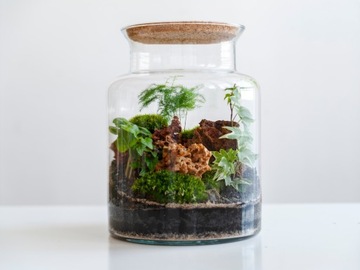 Moss Refier Bropotek 500G зеленая трава трава