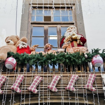 Siatka z lampek LED, zimna biel, 4x4 m, 544 LED