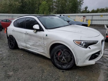 Alfa Romeo Stelvio 2018 Alfa Romeo Stelvio Quadrifoglio 2018 2.9l 2.9 Benzyna 505KM, zdjęcie 4