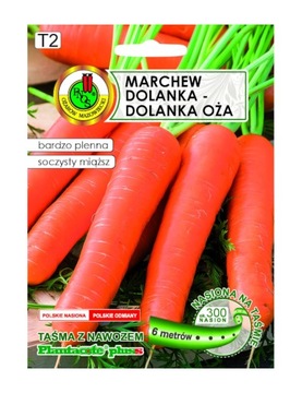 MARCHEW Dolanka na taśmie 6m PNOS soczysty miąższ