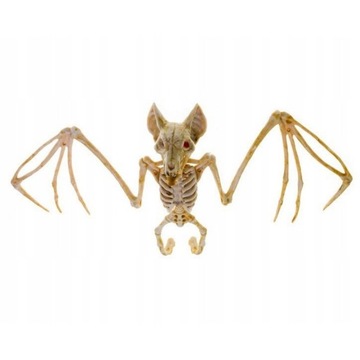 SZKIELET NIETOPERZA NIETOPERZ KOŚCI DEKORACJA WISZĄCA OZDOBA HALLOWEEN