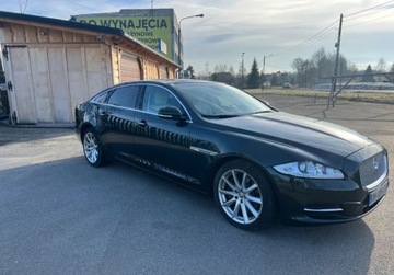 Jaguar XJ VII X351 Sedan SWB 3.0L V6D 600 275KM 2010 Jaguar XJ, zdjęcie 3