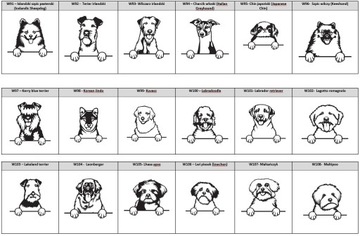 ИДЕНТИФИКАЦИОННАЯ СУМКА ДЛЯ СОБАК - ВСЕ ПОРОДЫ XL