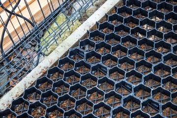 Kratka Trawnikowa czarna 50x50x4cm 10 szt. + 10 szt. kotw