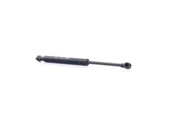 MAGNETI MARELLI 430719066900