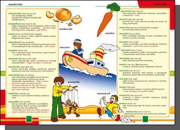 Набор ИЛЛЮСТРИРОВАННЫХ СЛОВАРОВ х6 Пословицы Фразеологические Орфографические Английские