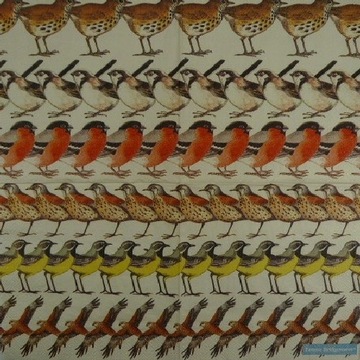 serwetki IHR 33x33 - 20szt - 35201 ptaki
