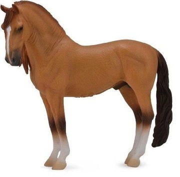 Koń Stallion Red Dun 88701 COLLECTA