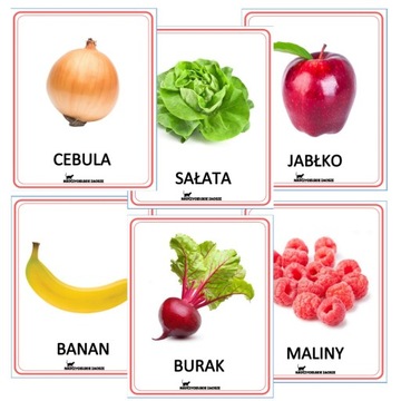 Owoce i warzywa 40 ilustracji Plansze edukacyjne