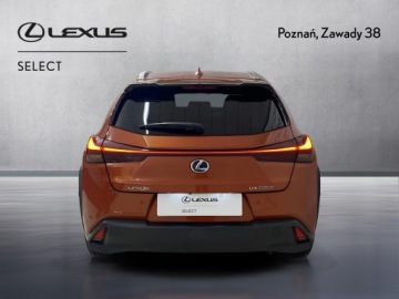 Lexus UX 2019 Lexus UX 250h Prestige 2WD Lexus UX 250h Prestige+, zdjęcie 6