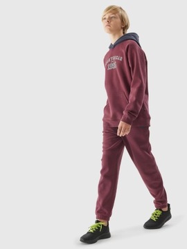 4F СПОРТИВНЫЕ БРЮКИ, СПОРТИВНЫЕ БРЮКИ, ДЖОГГЕРЫ ДЛЯ МАЛЬЧИКОВ