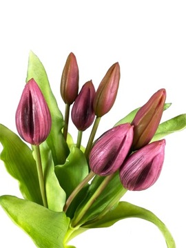 BUKIET TULIPANÓW 7 TULIPANY GUMOWANE FIOLETOWE
