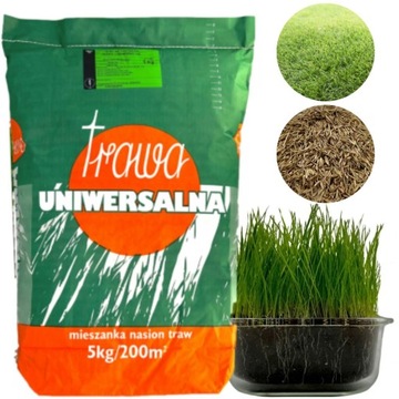 Универсальная трава 5 кг семена быстро утолщаются