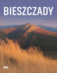 BIESZCZADY 2019 PRACA ZBIOROWA