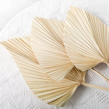 НАБОР ИЗ 3-Х СВЕТЛЫХ ПАЛЬМОВЫХ ЛИСТЬЕВ BOHO BALI, СУШЕННЫХ