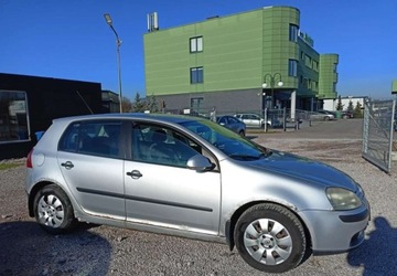 Volkswagen Golf V Hatchback 1.9 TDI 105KM 2005 Volkswagen Golf Volkswagen Golf 1.9 Diesel 105KM, zdjęcie 4