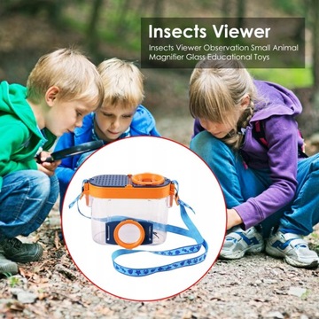 Plastic Bottle Insects Viewer Observation Small An