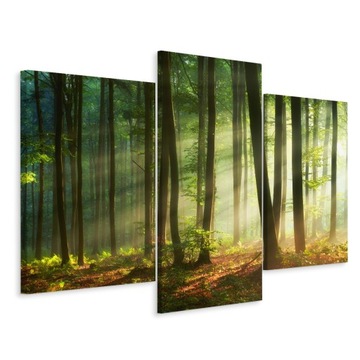 Obraz 3 Częściowy LAS Słońce KRAJOBRAZ 3D 120x80