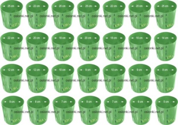 КОЛЬЦЕВАЯ ПОЛОСКА рассада ПОСЕВНАЯ 6/7 0.2Л