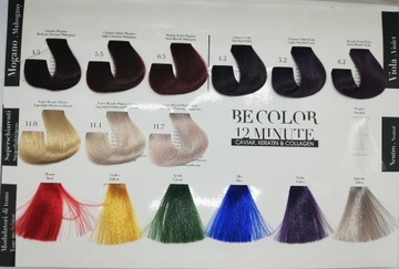 BE COLOR FRIS DYE 100мл БЕЗ АММИАКА 8.7