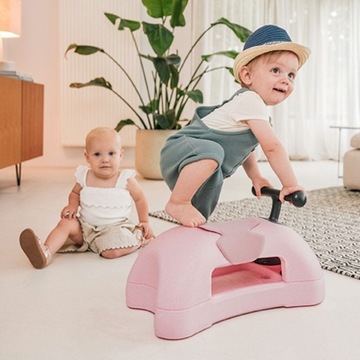 SCOOT AND RIDE Rose My First RID-ON от 6 м + PUSH 3в1 ScootAndRide