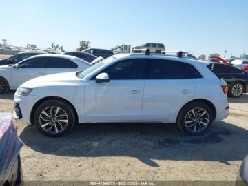 Audi Q5 II 2021 Audi Q5 2021r., Premium Plus, od ubezpieczalni 2.0 Benzyna 261KM, zdjęcie 3