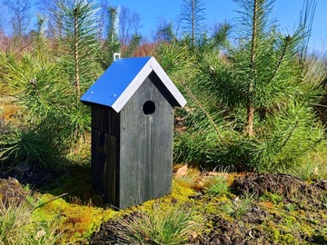 СКВОРОДНИК - СТАЛЬНАЯ КРЫША, высота 30 см