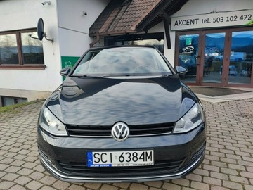 Volkswagen Golf VII Hatchback 3d 1.2 TSI BlueMotion Technology 85KM 2016 Volkswagen Golf VII Allstar 1.2 TSI BlueMotion, zdjęcie 1
