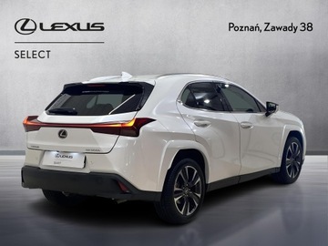 Lexus UX 2025 Lexus UX 300h Omotenashi Lexus UX 300h Omotenashi,, zdjęcie 4