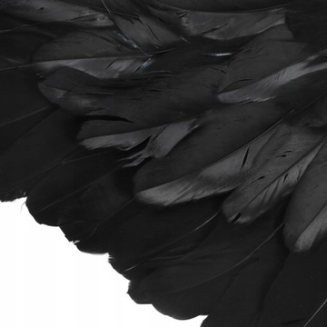 КРЫЛЬЯ АНГЕЛА ЧЕРНЫЕ ПЕРЬЯ БОЛЬШИЕ 105Х45СМ КАРНАВАЛ