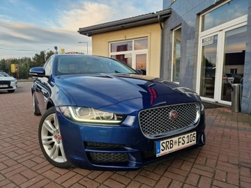 Jaguar XE Sedan 2.0 i4 180KM 2015 Jaguar XE Prestige Automat Xenon Ledy Navi, zdjęcie 9