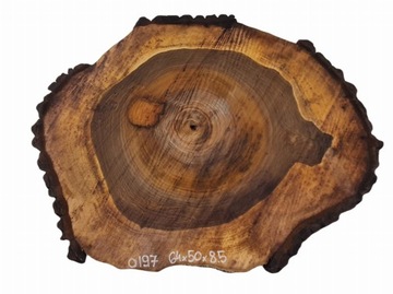 Plaster Orzecha Włoskiego 64x50 w Dwóch Kawałkach