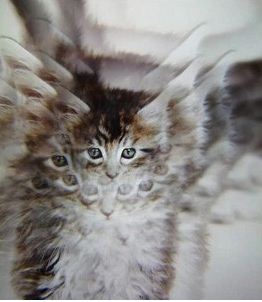 Призматический фильтр калейдоскопа 58 мм + ад 58/52