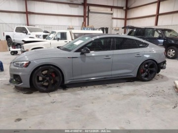 Audi A5 F5 2019 Audi RS5 Coupe Audi RS5 2.9T, od ubezpieczalni 2.9 Benzyna 444KM, zdjęcie 3