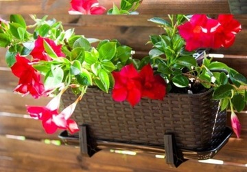 КОРИЧНЕВАЯ ПРЯМОУГОЛЬНАЯ ПОДСТАВКА 40 СМ ИЗ РОТАНГА ВЕРДЕНИЯ